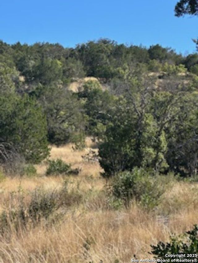 45453 St Rocksprings Tx 78880 Rocksprings, TX 78880 - Photo 21 of 31 a view of a yard with trees in the background