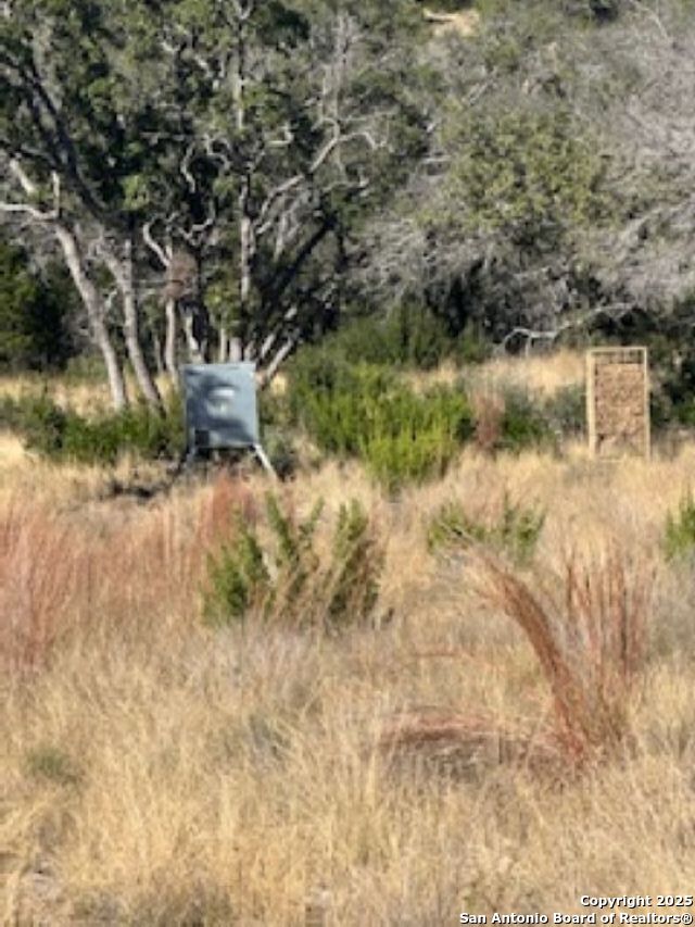 45453 St Rocksprings Tx 78880 Rocksprings, TX 78880 - Photo 22 of 31 a view of lake with tree