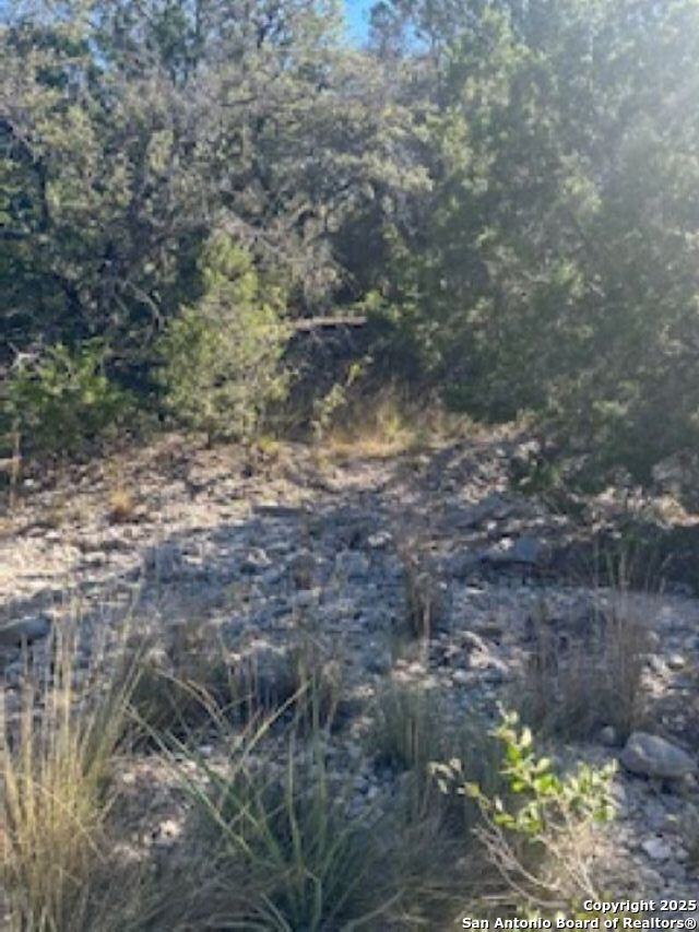 45453 St Rocksprings Tx 78880 Rocksprings, TX 78880 - Photo 27 of 31 a view of a yard with a tree