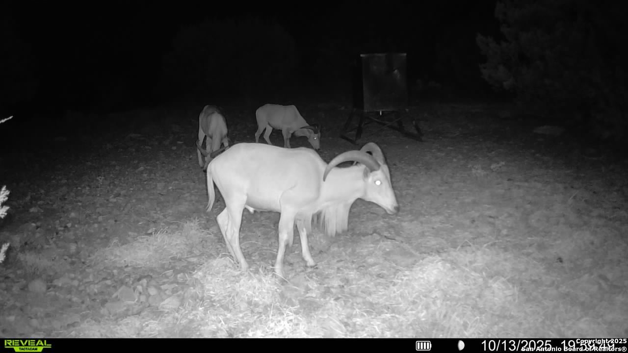 45453 St Rocksprings Tx 78880 Rocksprings, TX 78880 - Photo 5 of 31 a view of a livingroom with furniture