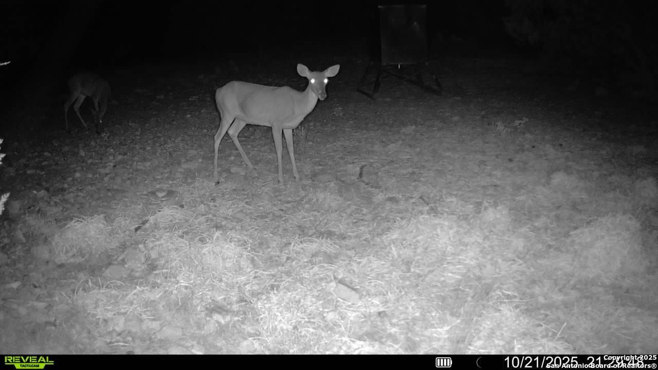45453 St Rocksprings Tx 78880 Rocksprings, TX 78880 - Photo 6 of 31 a view of an empty room with a chair
