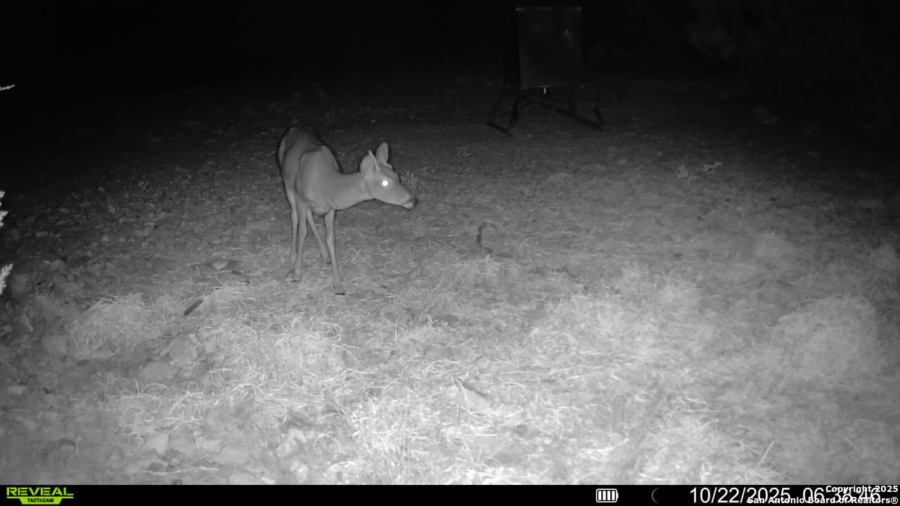45453 St Rocksprings Tx 78880 Rocksprings, TX 78880 - Photo 7 of 31 a view of a room