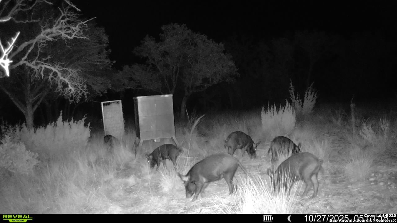 45453 St Rocksprings Tx 78880 Rocksprings, TX 78880 - Photo 8 of 31