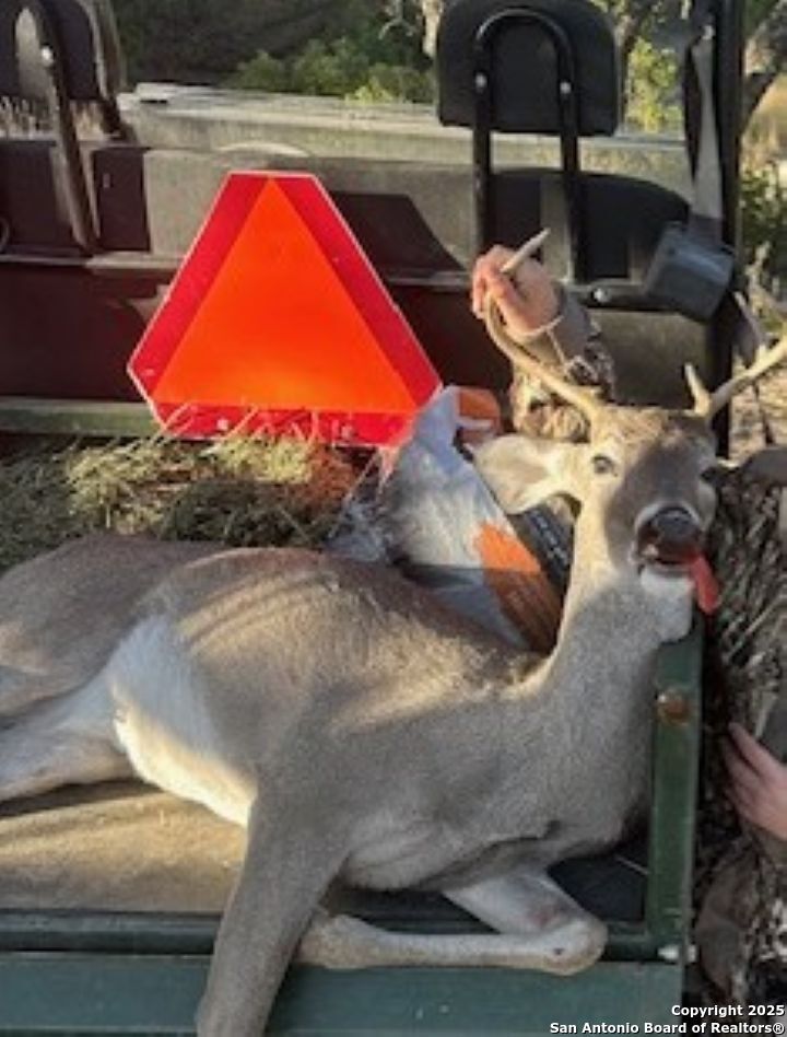 45453 St Rocksprings Tx 78880 Rocksprings, TX 78880 - Photo 9 of 31 a view of swimming pool from a backyard