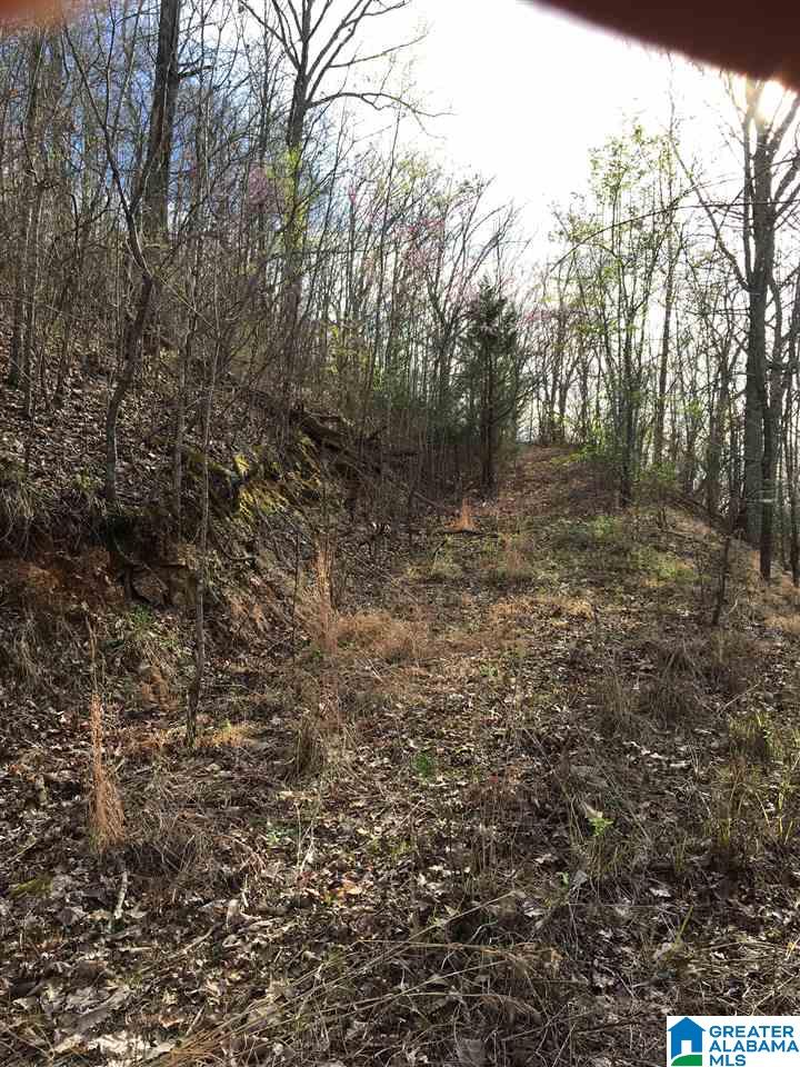 230 County Line Road Oxford, AL 36203 - Photo 19 of 50