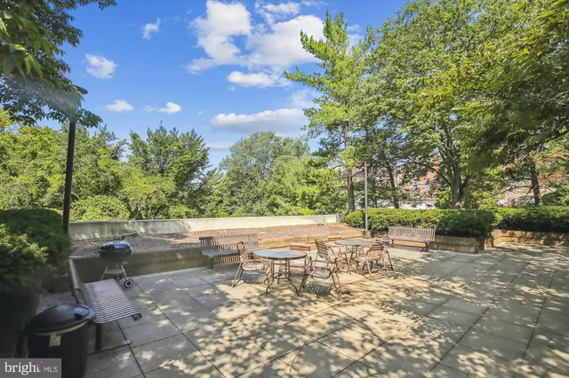 a view of a park with large trees