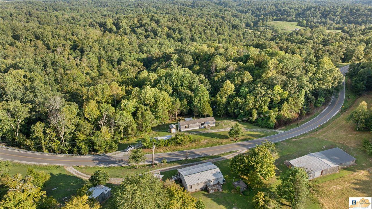 9625 Breeding Road Edmonton, KY 42129 - Photo 36 of 55 Gallery Image 36