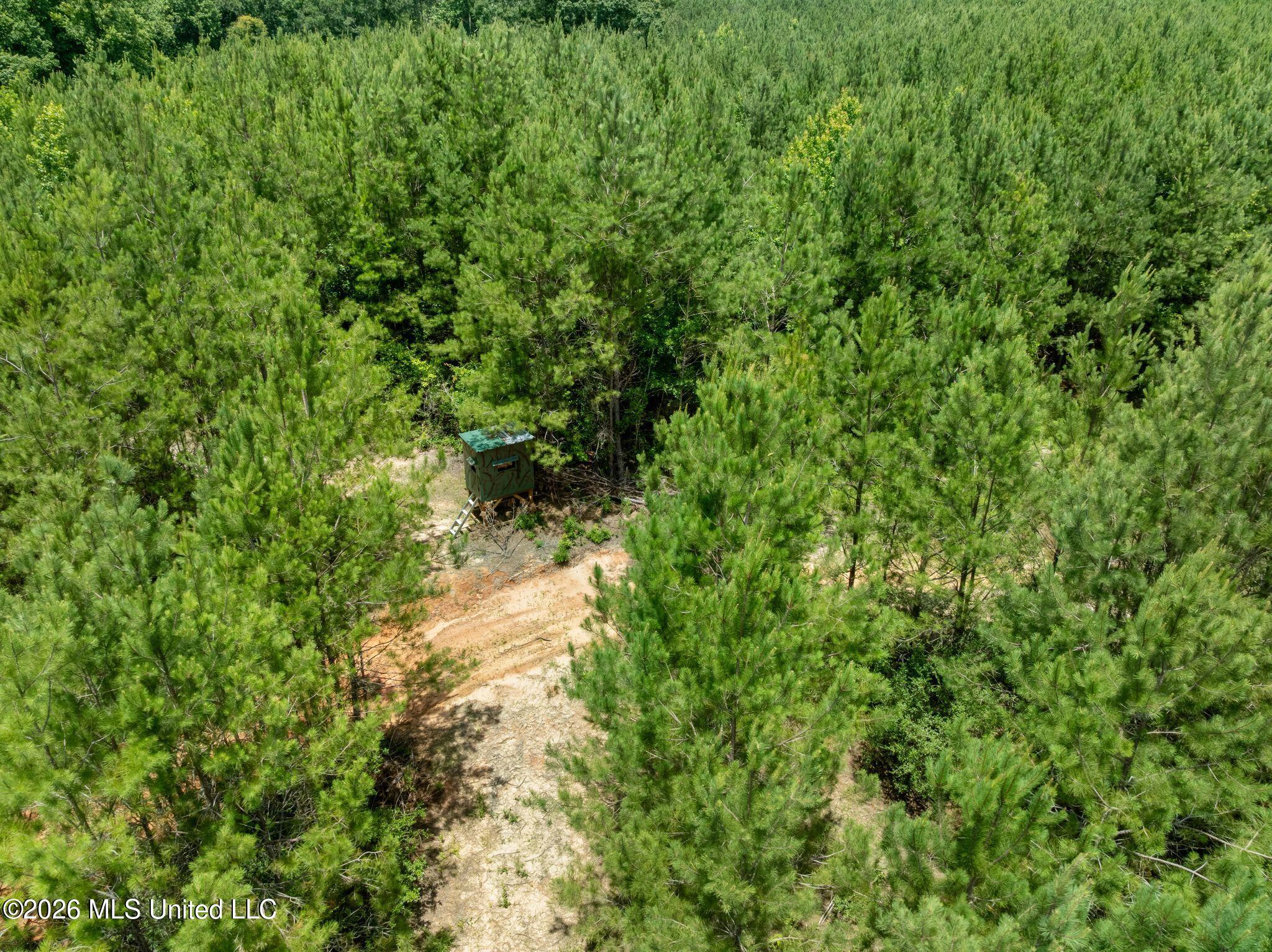 31-acres Ridgeland Road Bassfield, MS 39421 - Photo 20 of 27 85_Ridgeland_Rd-20