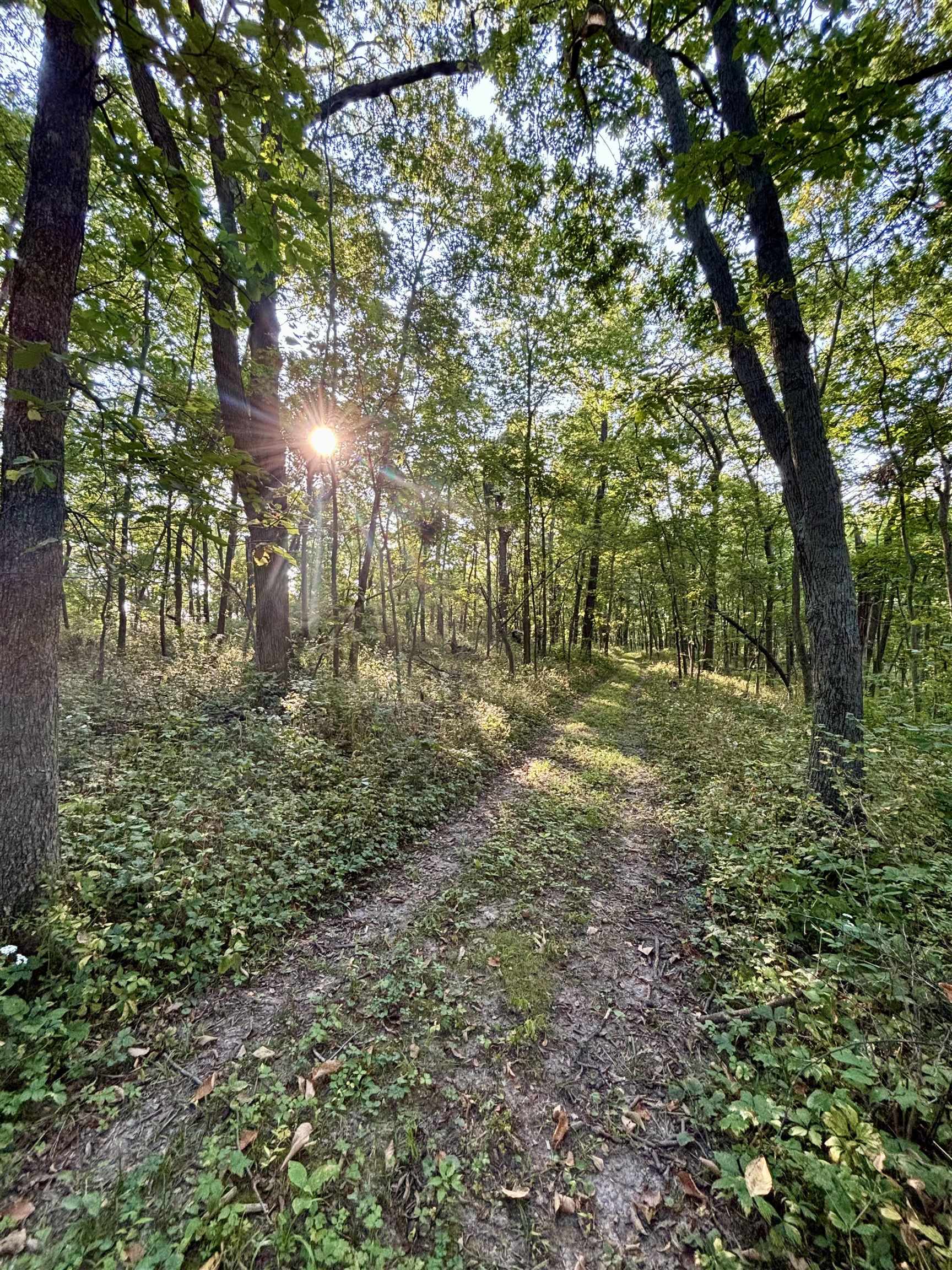 9294 South Gamble Hill Road Elizabeth, IL 61028 - Photo 58 of 99 Gallery Image 58
