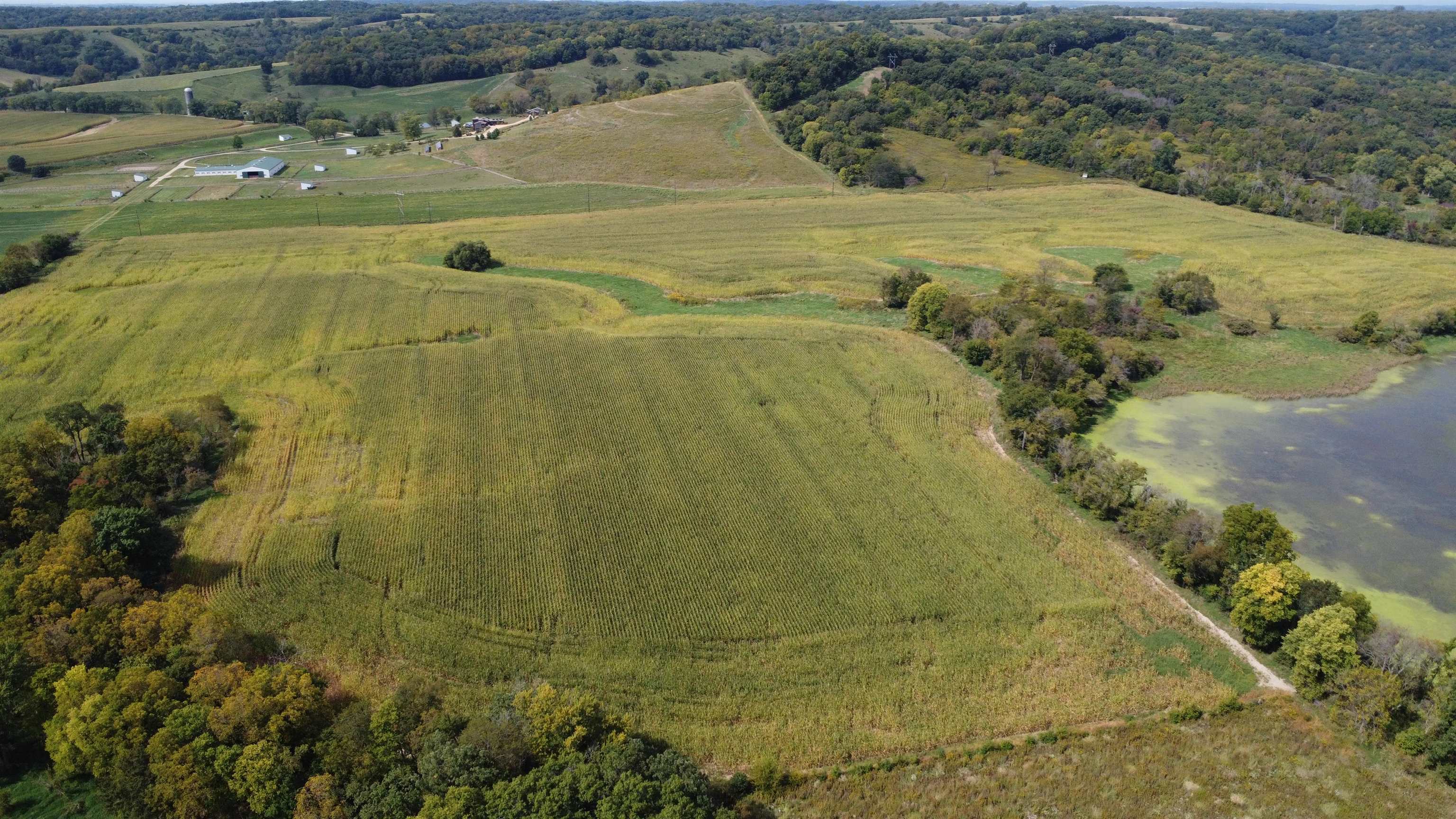 9294 South Gamble Hill Road Elizabeth, IL 61028 - Photo 79 of 99 Gallery Image 79
