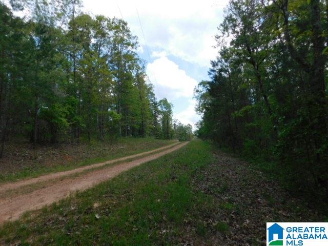 2 Pointe South Drive Wedowee, AL 36278 - Photo 6 of 6