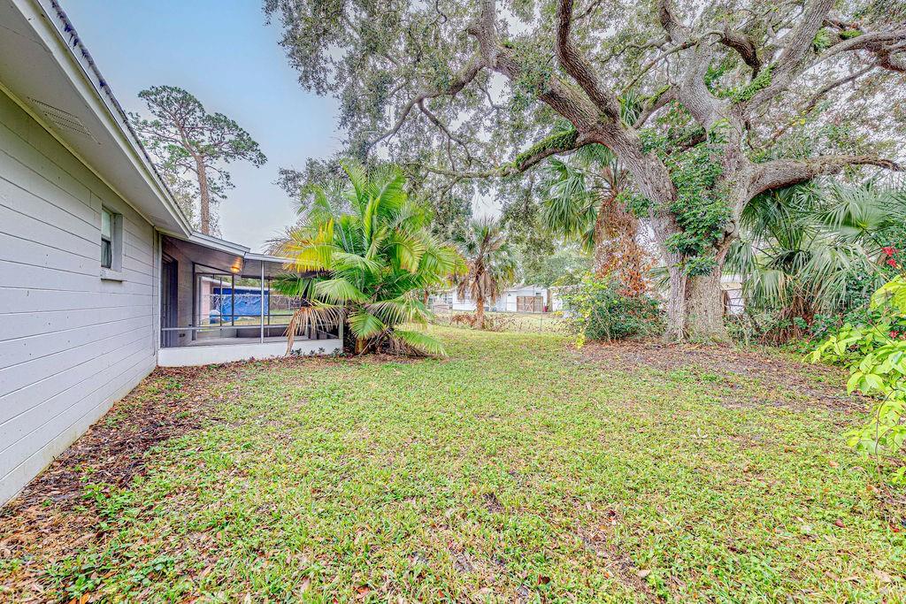 835 5th Street Port Orange, FL 32129 - Photo 14 of 17 a view of a yard with plants and trees
