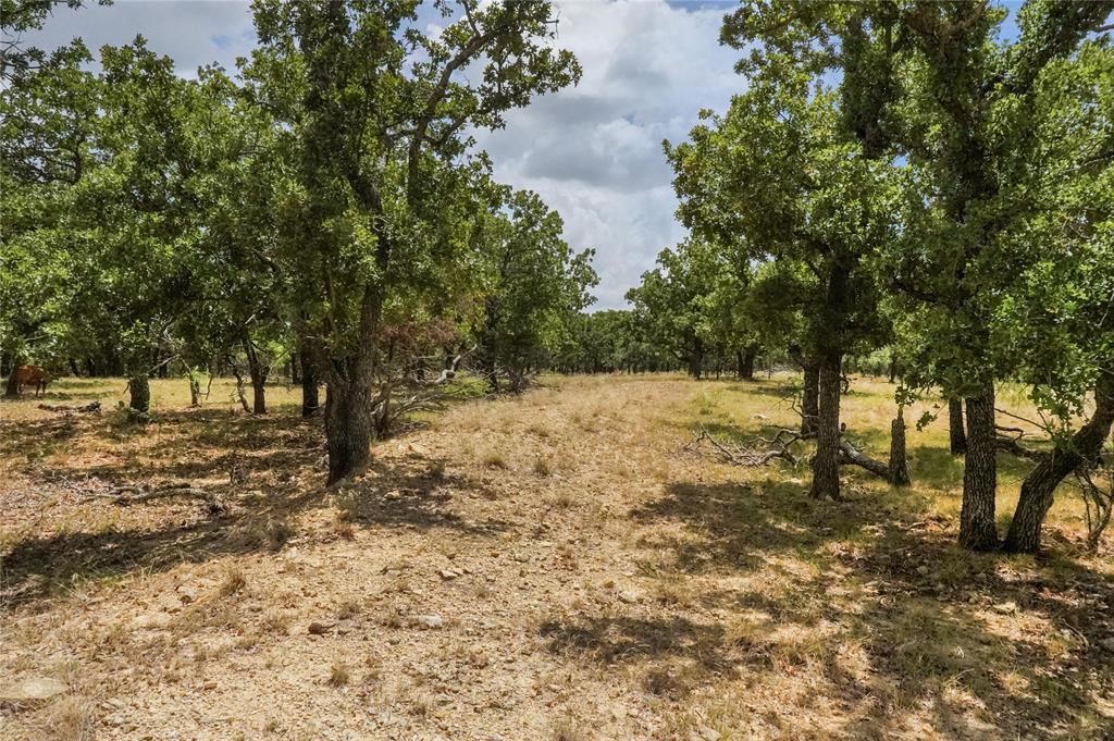16.5-acres Burwick Road Jacksboro, TX 76458 - Photo 36 of 38