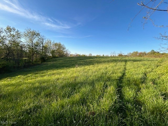 0 Close Road Newport, OH 45768 - Photo 1 of 15 View of local wilderness featuring rural landscape