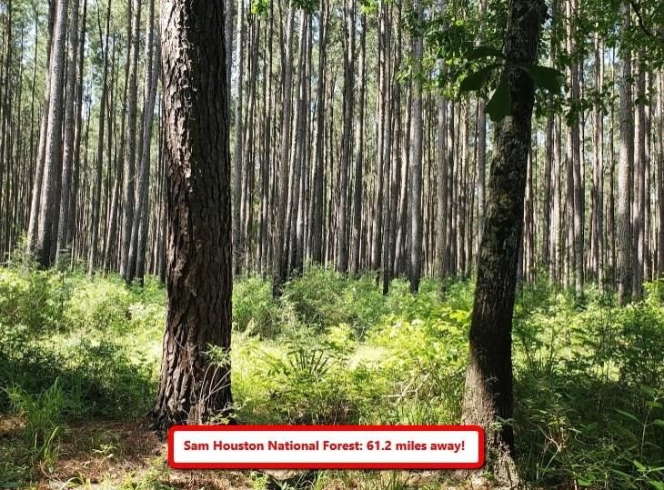 0 Hamilton Street Hempstead, TX 77445 - Photo 6 of 8 a sign that is sitting in front of a house