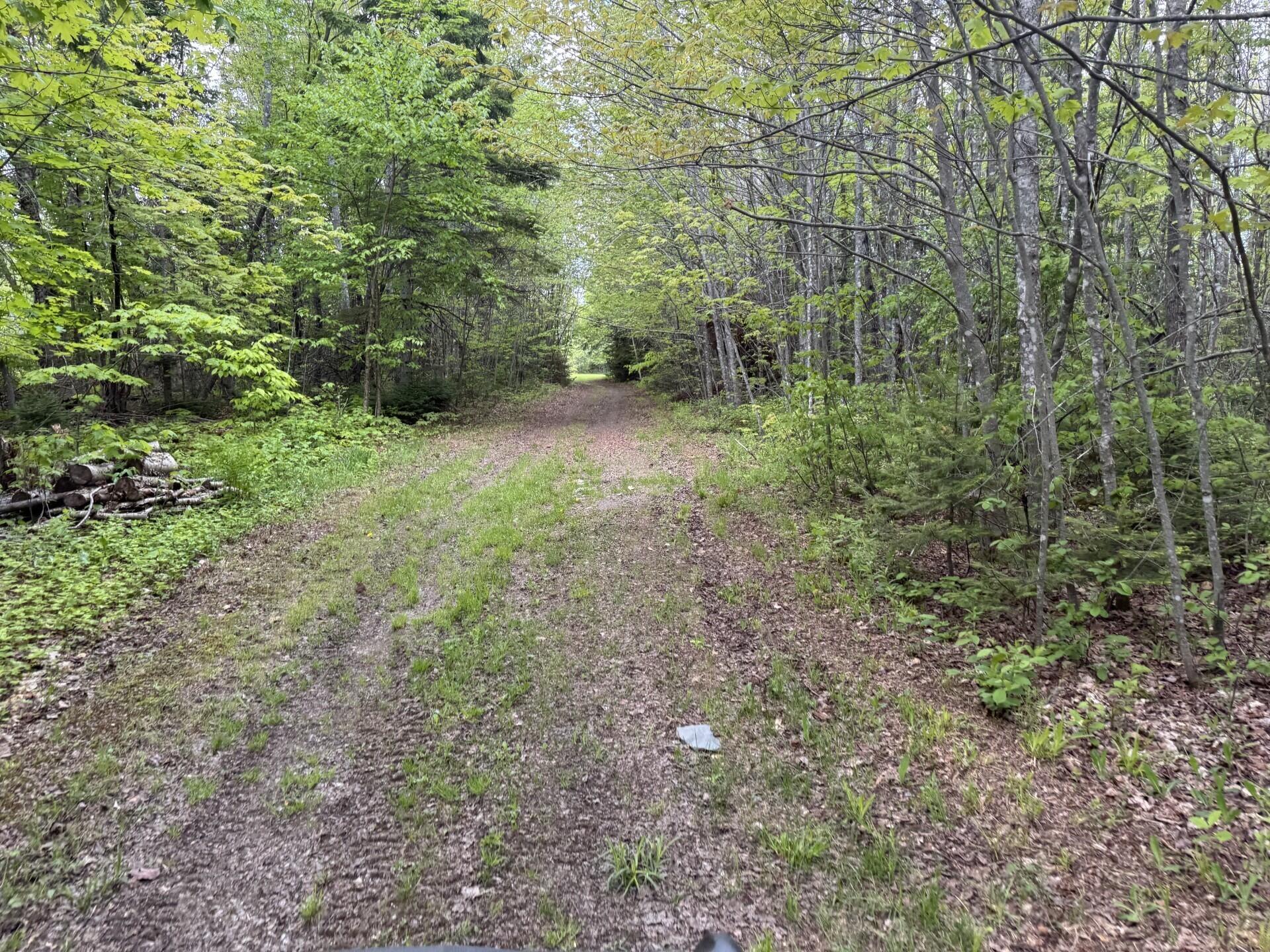 328 Clark Road Merrill, ME 04780 - Photo 52 of 55 Western Trail (328 Clark Road) I