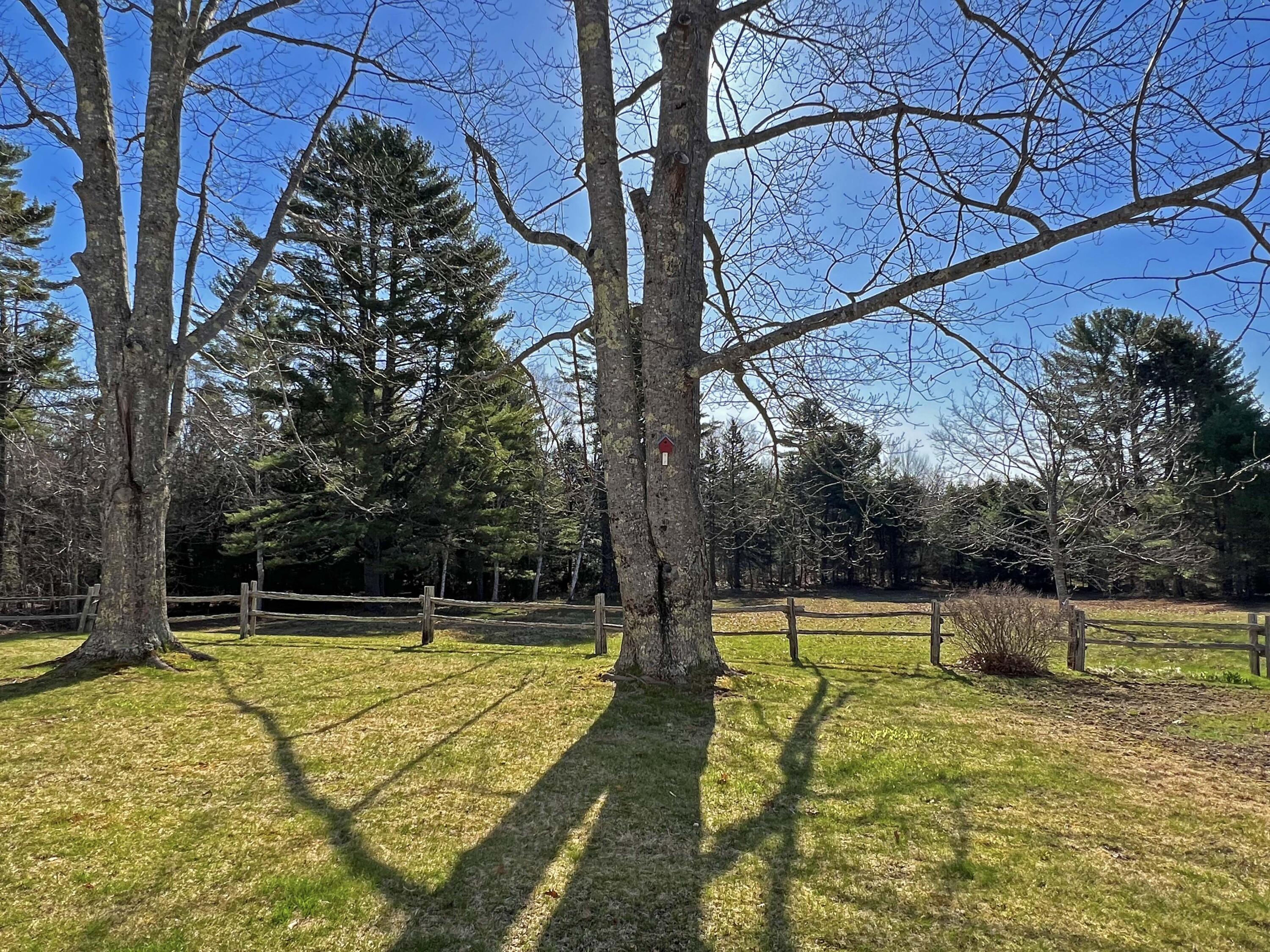 129 Otis Road Otis, ME 04605 - Photo 48 of 53 6a