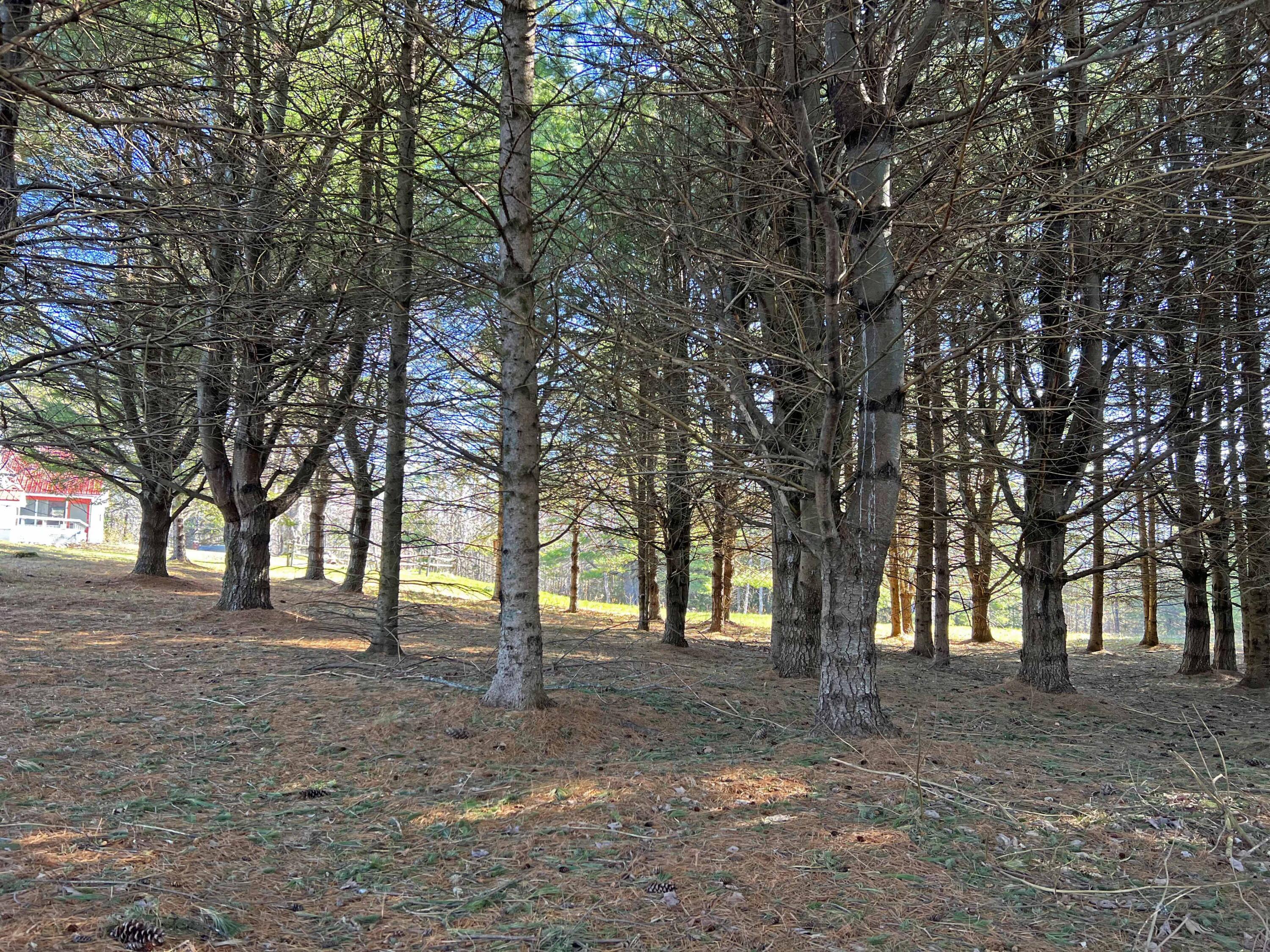 129 Otis Road Otis, ME 04605 - Photo 52 of 53 6e