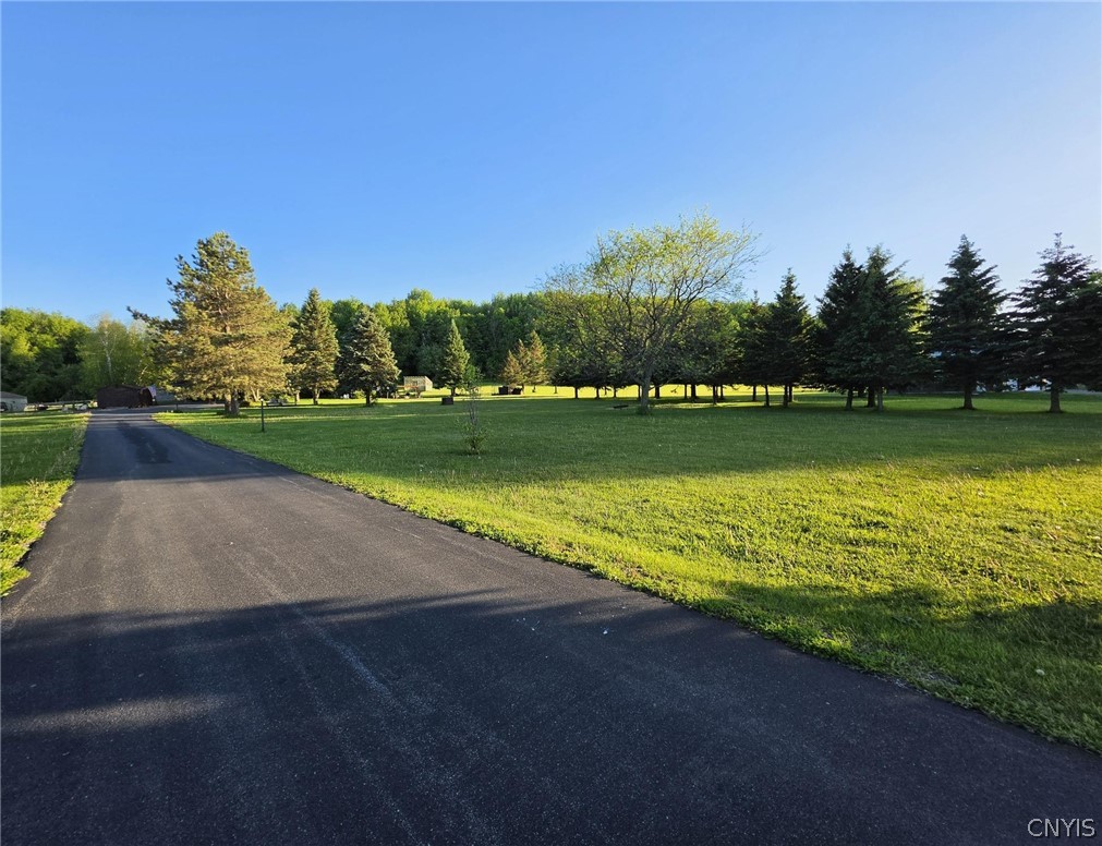 16029 County Rte 156 Watertown Town, NY 13601 - Photo 13 of 50 Driveway