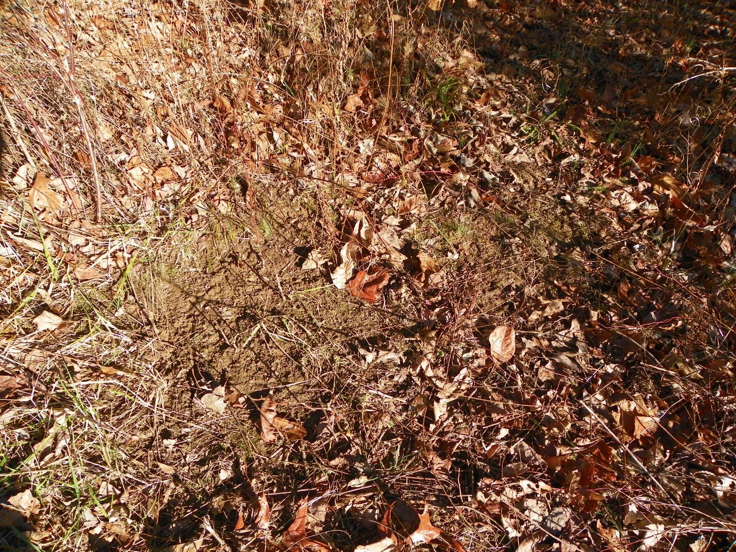 3144 Weatherman Road Brookville, IN 47012 - Photo 54 of 80