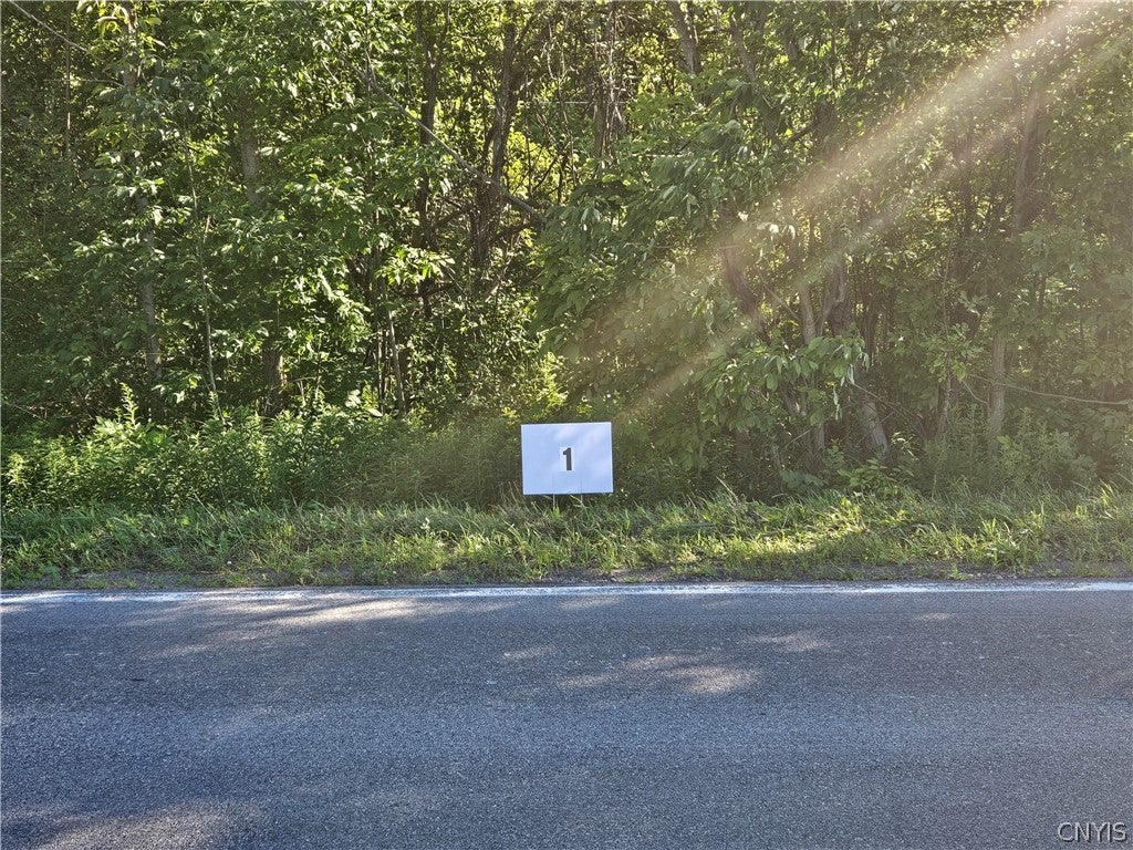 Lot 1 Rt 58 Mexico, NY 13114 - Photo 1 of 4 Gallery Image 1