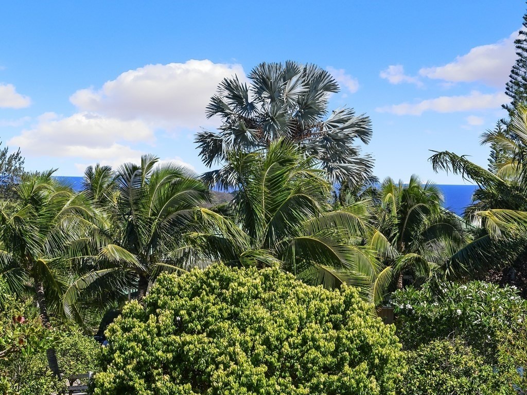 3685 Lohe Road Kalaheo, HI 96741 - Photo 20 of 20 Gallery Image 20