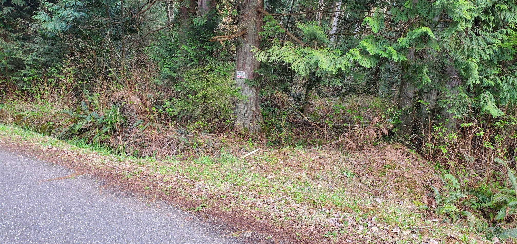 4217 West Road Blaine, WA 98230 - Photo 3 of 13 Gallery Image 3