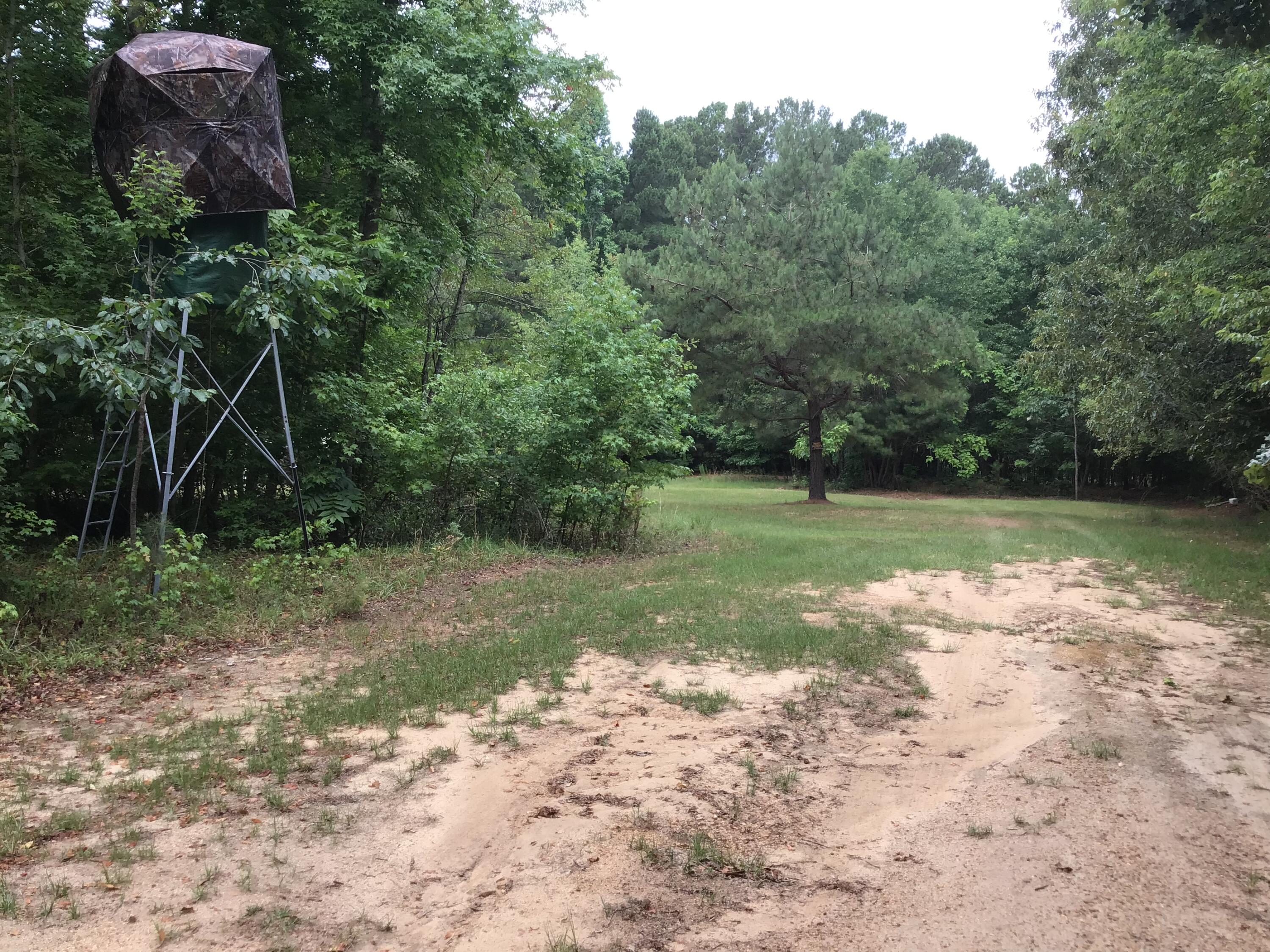 47 Peele Road Salley, SC 29137 - Photo 38 of 95
