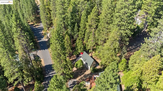 view of a yard with table and chairs and potted plants