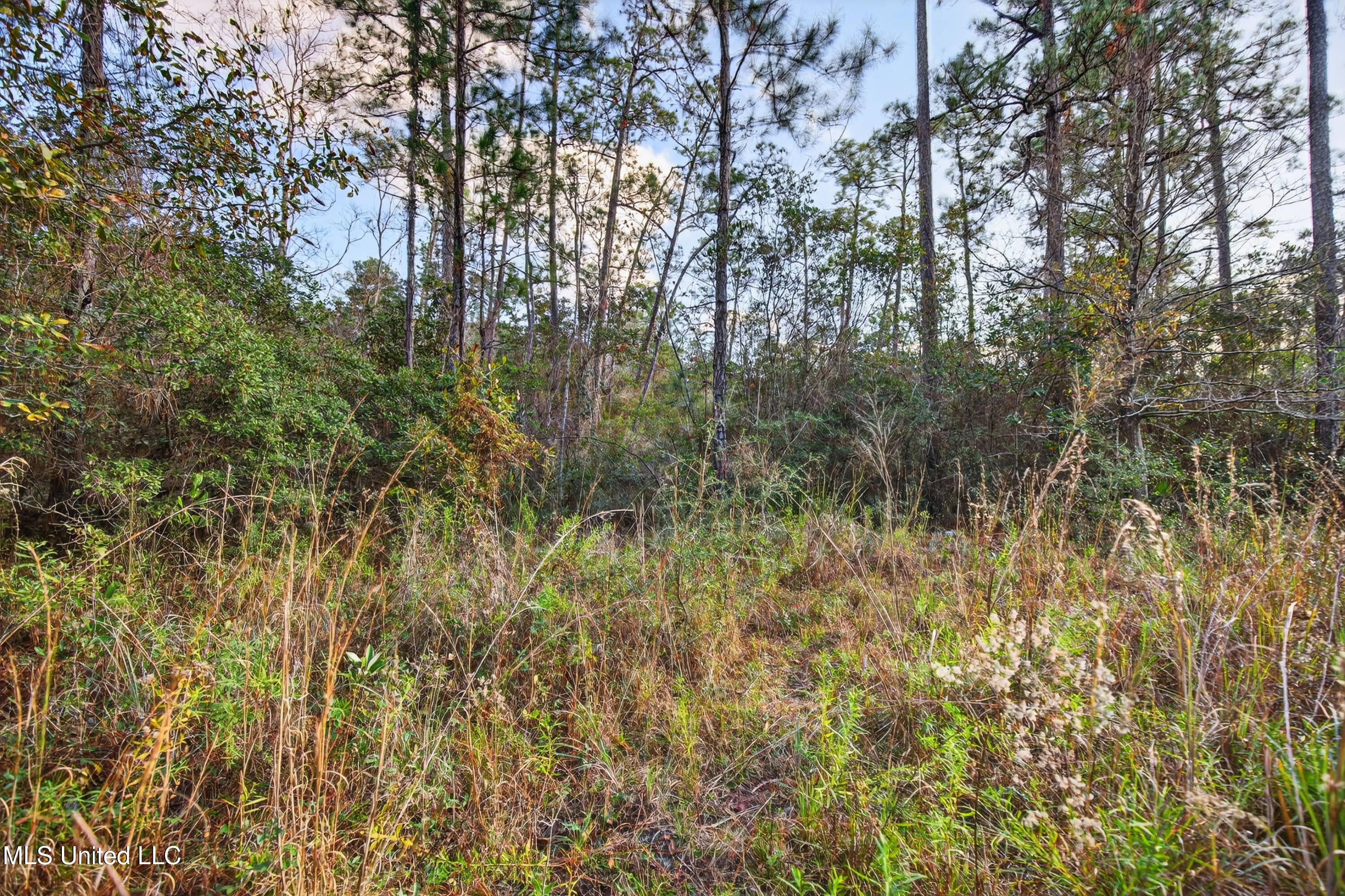 11414 Lorraine Road Gulfport, MS 39503 - Photo 53 of 84 11414LorraineRd-51