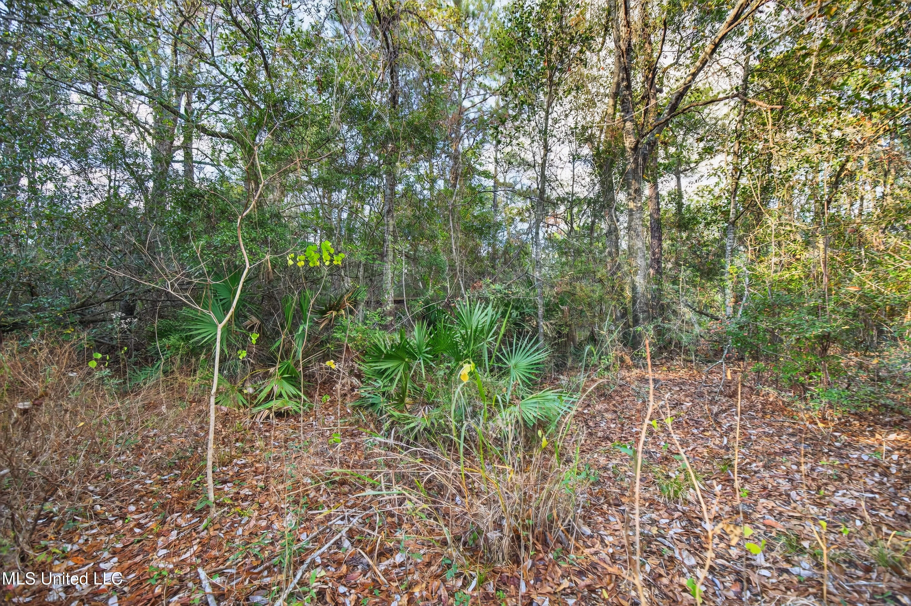 11414 Lorraine Road Gulfport, MS 39503 - Photo 54 of 84 11414LorraineRd-52