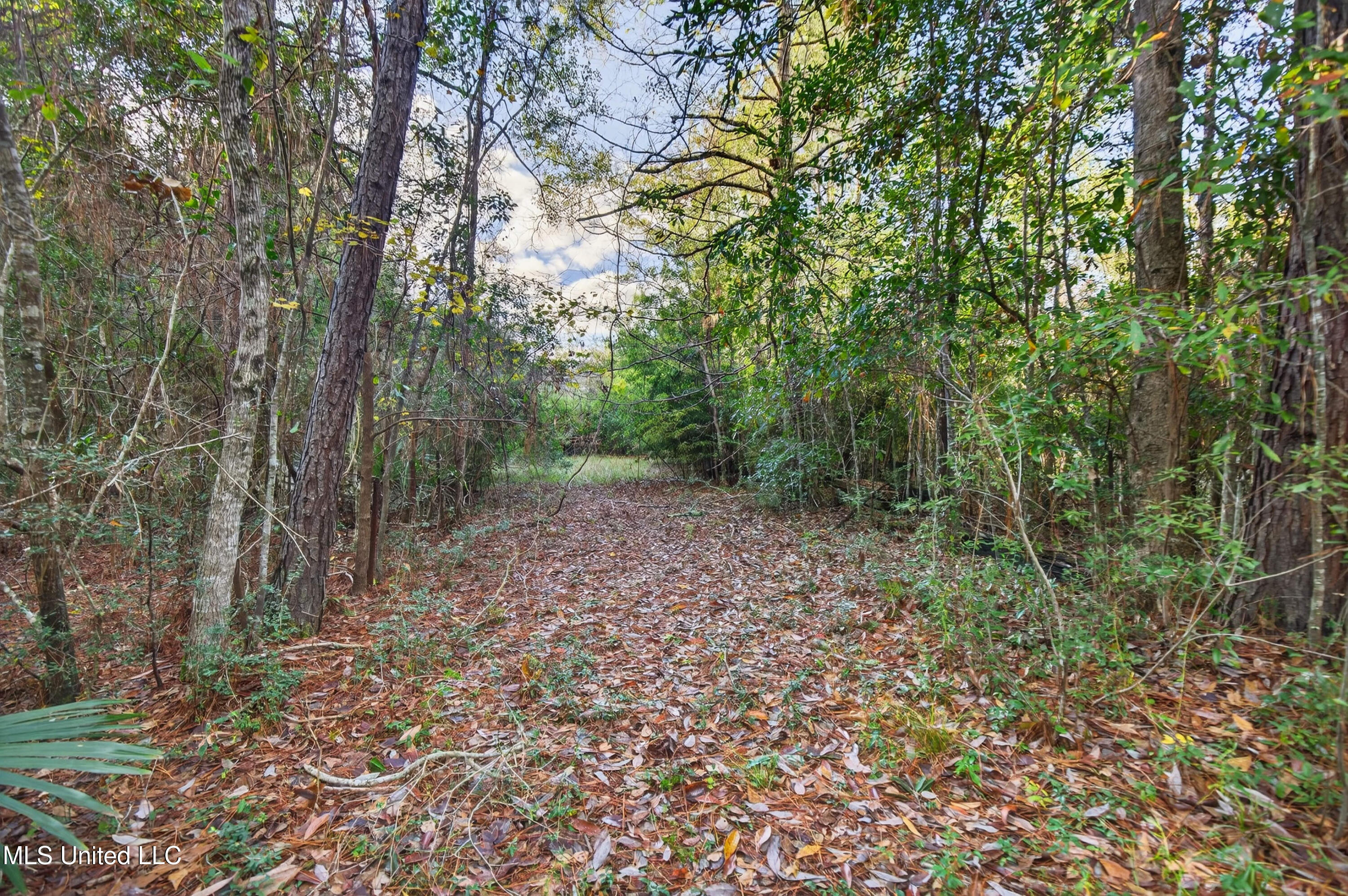 11414 Lorraine Road Gulfport, MS 39503 - Photo 55 of 84 11414LorraineRd-53