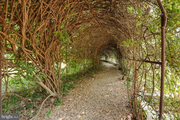 a view of a yard with plants and trees