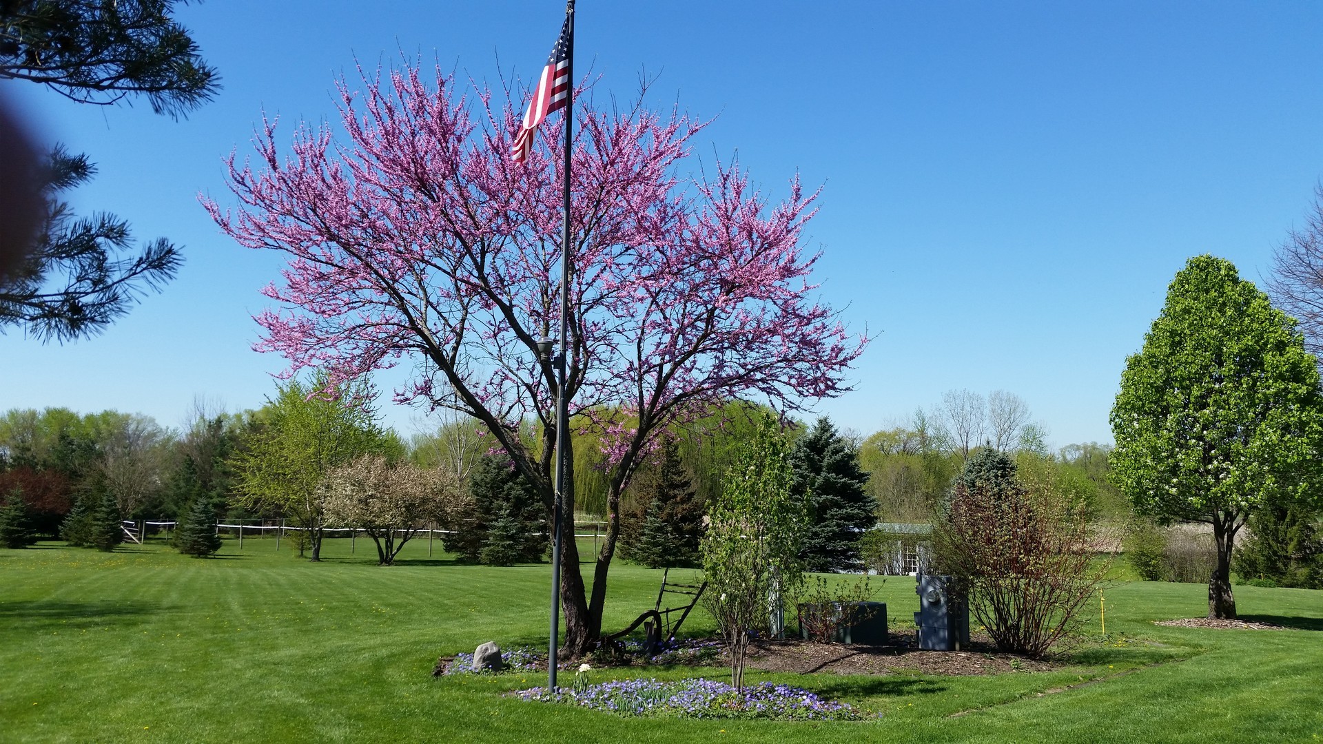 39-w068 Seavey Road Batavia, IL 60510 - Photo 105 of 109 a backyard of a house with lots of green space