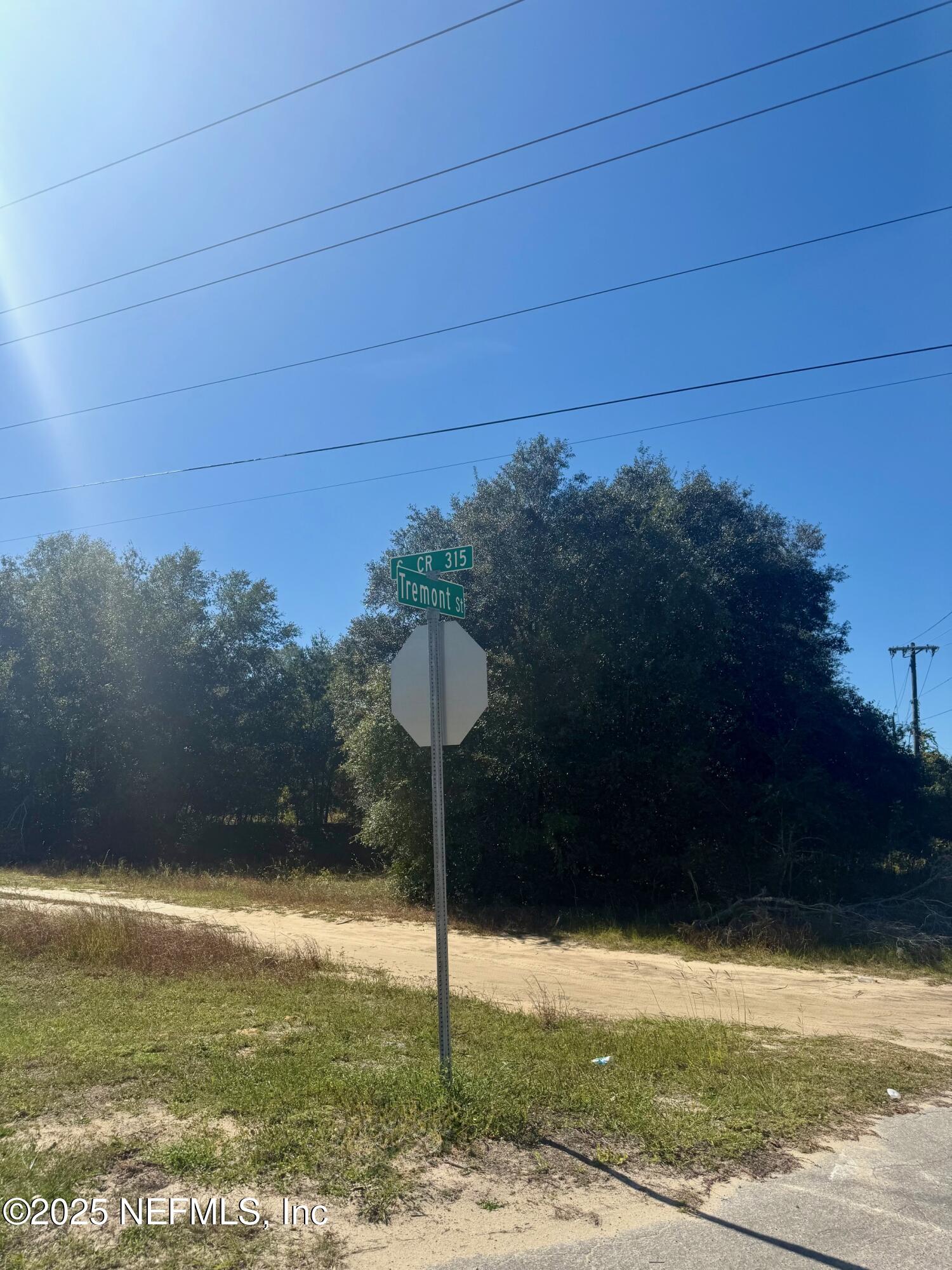 0 South County Road 315 Interlachen, FL 32148 - Photo 1 of 6 a backyard of a house