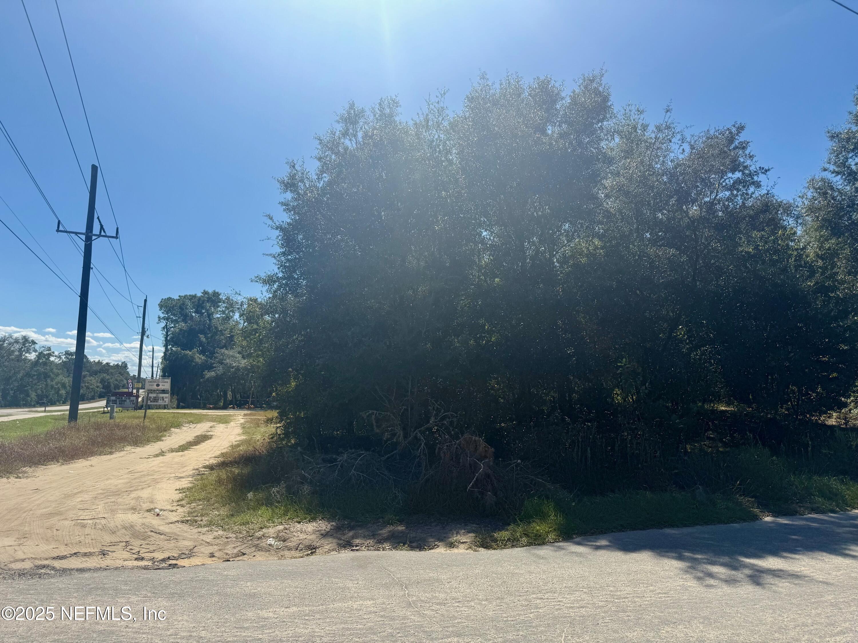 0 South County Road 315 Interlachen, FL 32148 - Photo 4 of 6 a view of a yard with an outdoor space