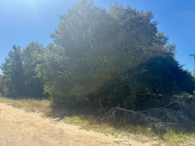 a view of swimming pool from a yard