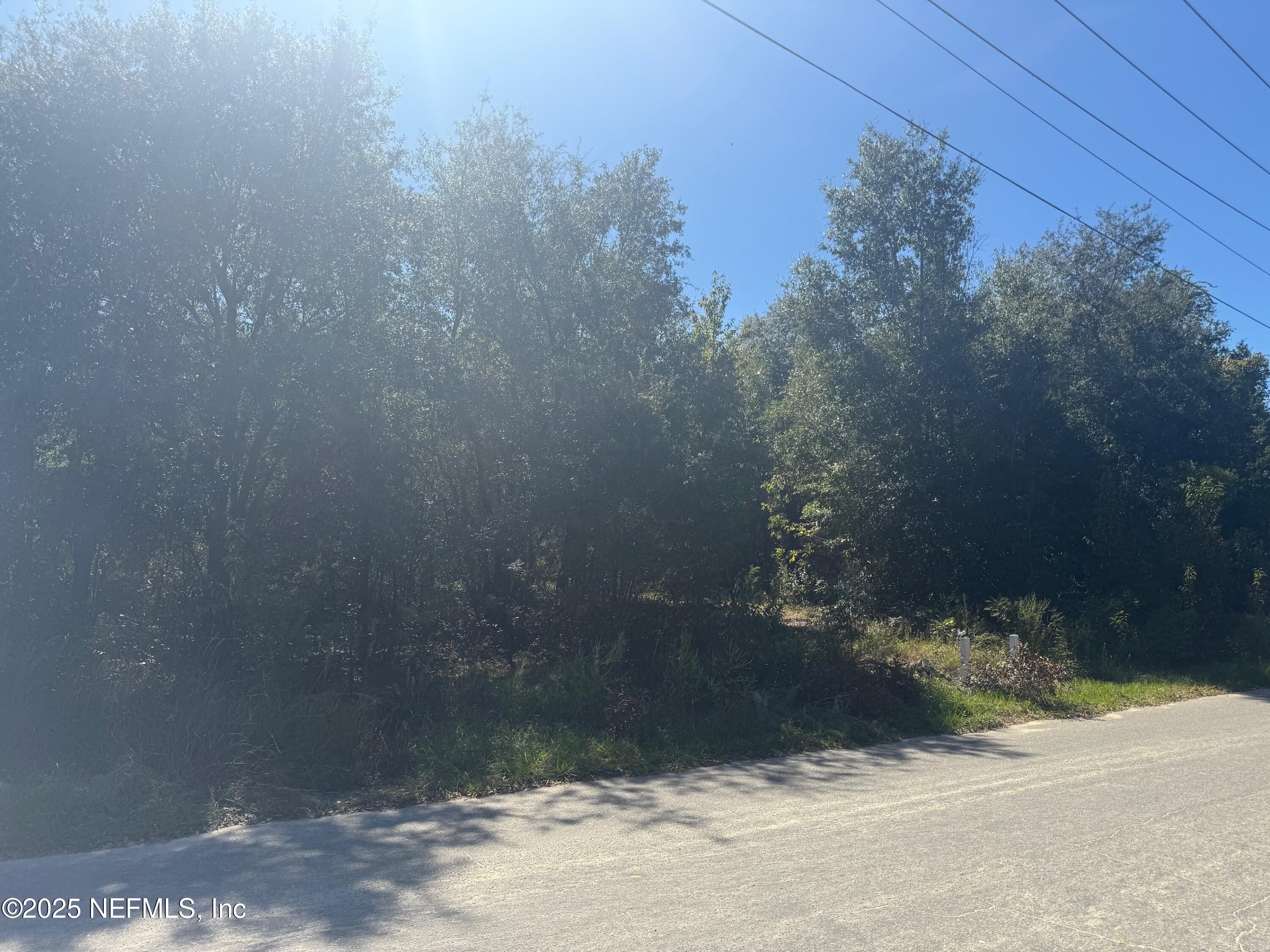 0 South County Road 315 Interlachen, FL 32148 - Photo 6 of 6 a view of a street view