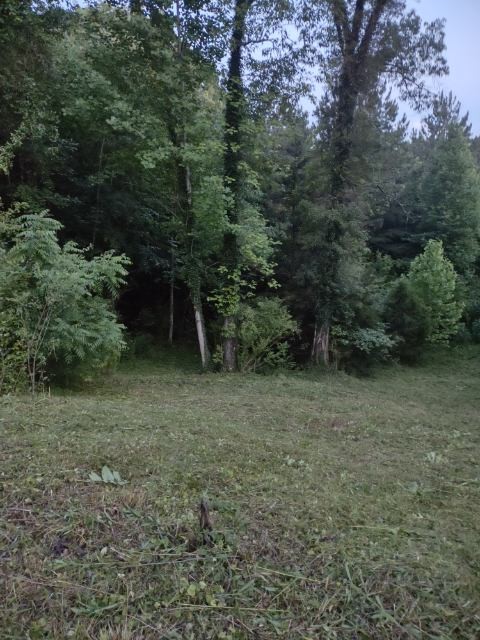 4988 New Window Cliff Road Baxter, TN 38544 - Photo 3 of 4 Gallery Image 3