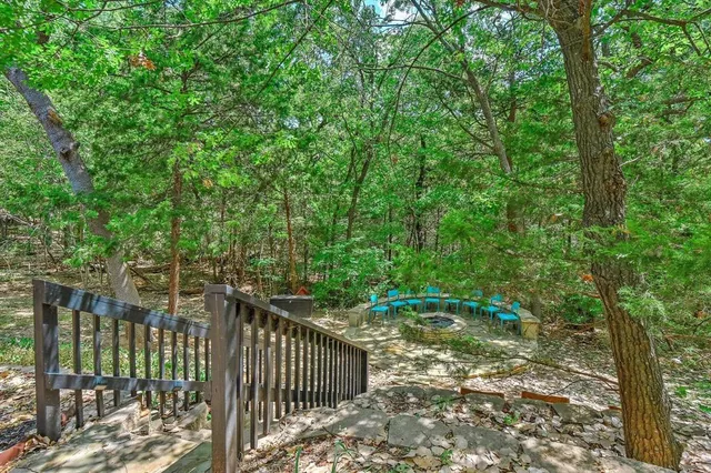 a view of a pathway of a yard with plants and large trees