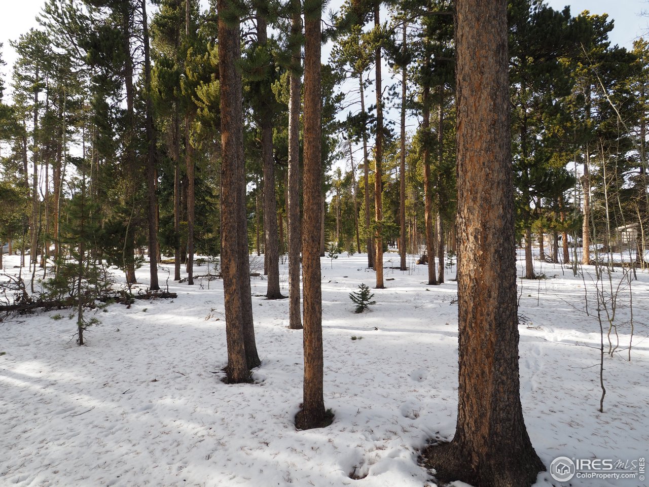 0 Long Trail Road Black Hawk, CO 80422 - Photo 3 of 9