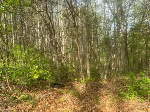 $25,000 | 0 Della Drive, Winston-Salem, NC 27105