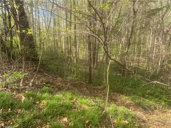 $25,000 | 0 Della Drive, Winston-Salem, NC 27105