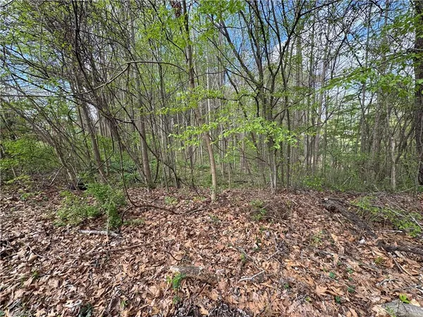 $25,000 | 0 Della Drive, Winston-Salem, NC 27105