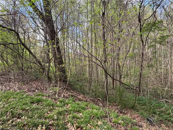 $25,000 | 0 Della Drive, Winston-Salem, NC 27105