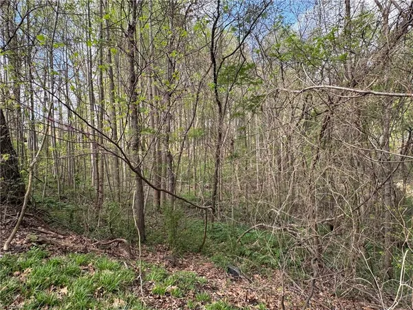 $25,000 | 0 Della Drive, Winston-Salem, NC 27105