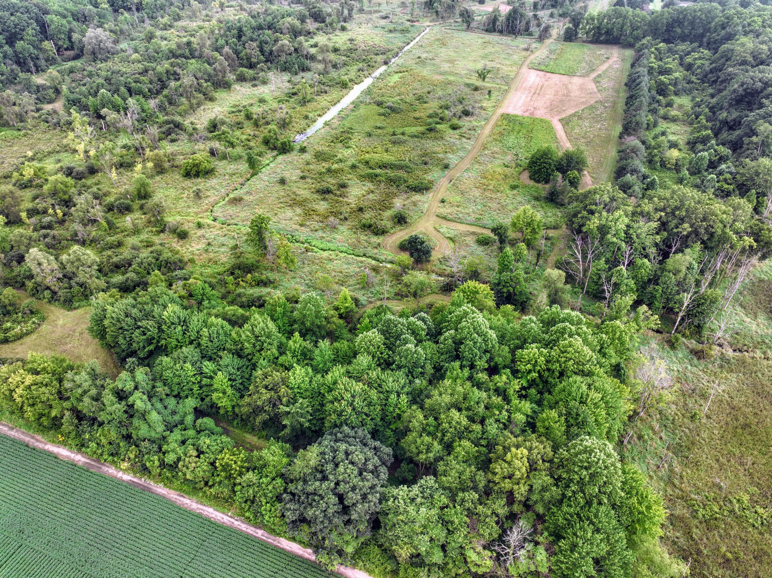 Vl Burlington Road Marcellus, MI 49067 - Photo 28 of 42 29