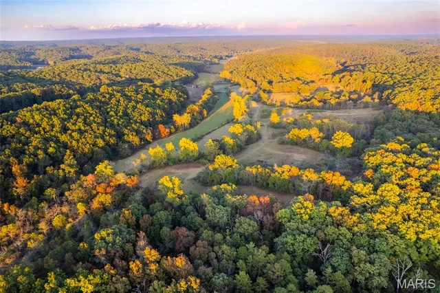 $860,000 | 655 County Road 930, Bunker, MO 63629