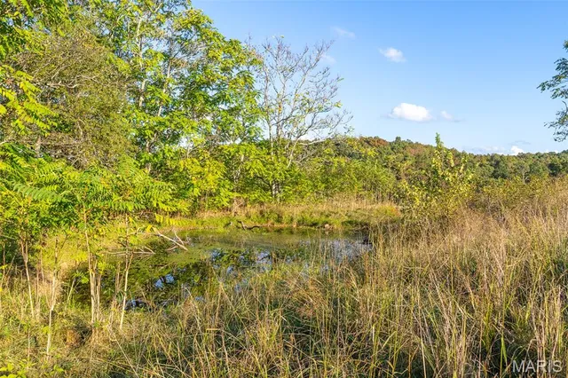 $860,000 | 655 County Road 930, Bunker, MO 63629