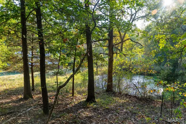 $860,000 | 655 County Road 930, Bunker, MO 63629